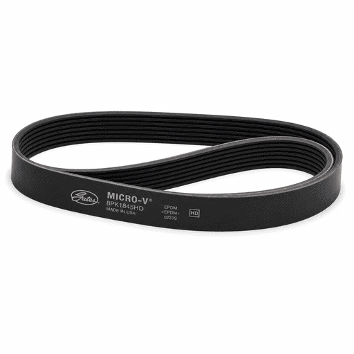 Correa serpentina Gates K08-1500